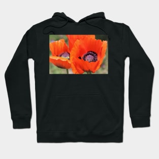 Red Poppies Hoodie